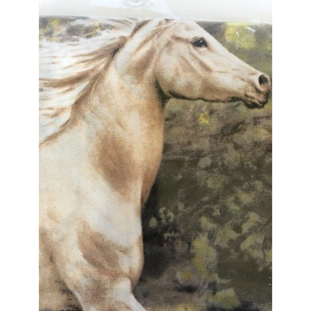 hautman brothers horse canyon